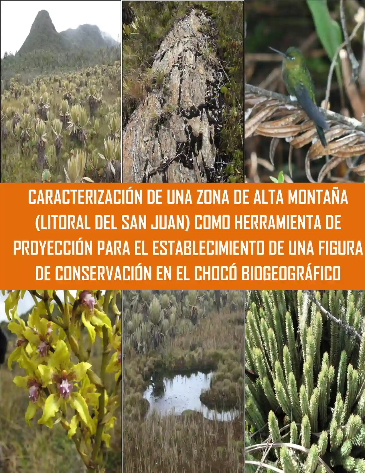 Portada Caracterización ecológica y sociocultural del Páramo del Duende, Litoral del San Juan Chocó
