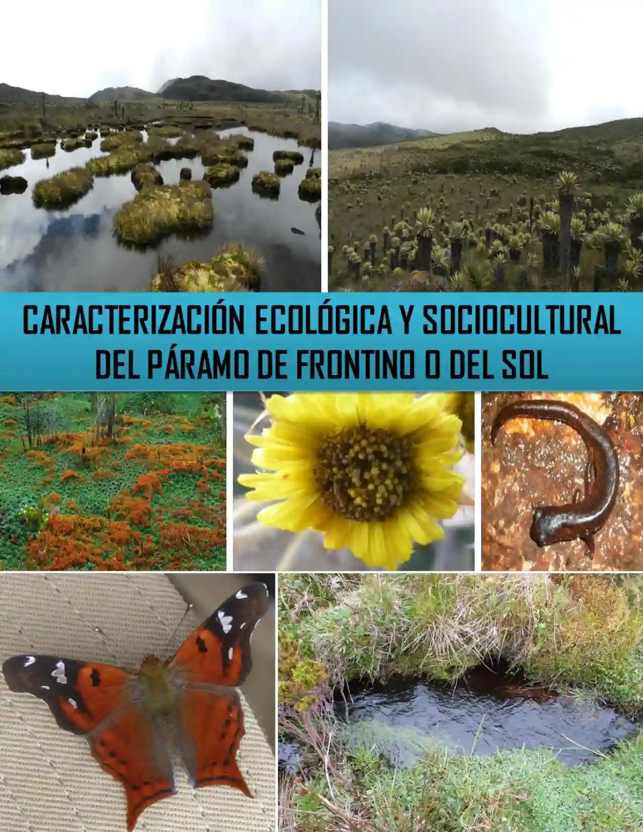 Portada Caracterización ecológica y sociocultural del Páramo del Sol, Frontino- Antioquia