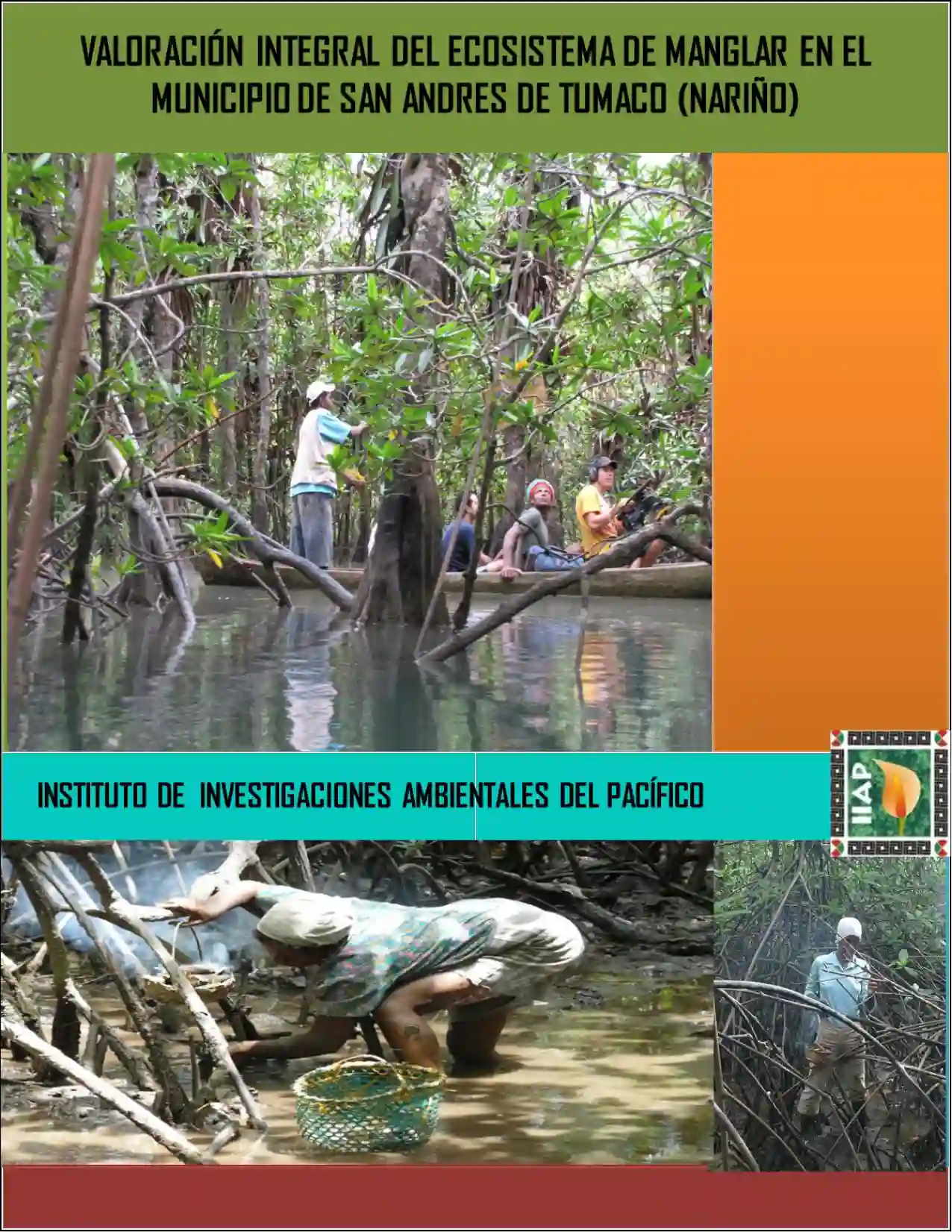 Portada Valoración integral de los manglares de la Costa Pacífica Nariñense