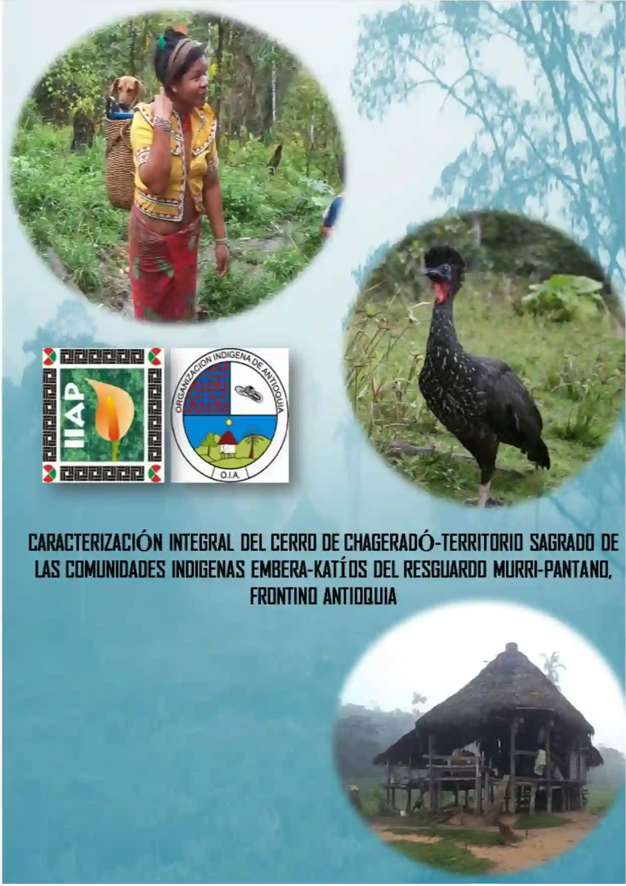 Portada Cerro sagrado de Chagerado, Organización indígena de Antioquia (OIA), Municipio de Frontino - Chocó Biogeográfico.