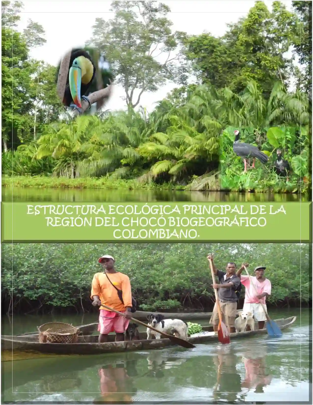 Portada Estructura Ecológica principal de la región del Chocó Biogeográfico Colombiano
