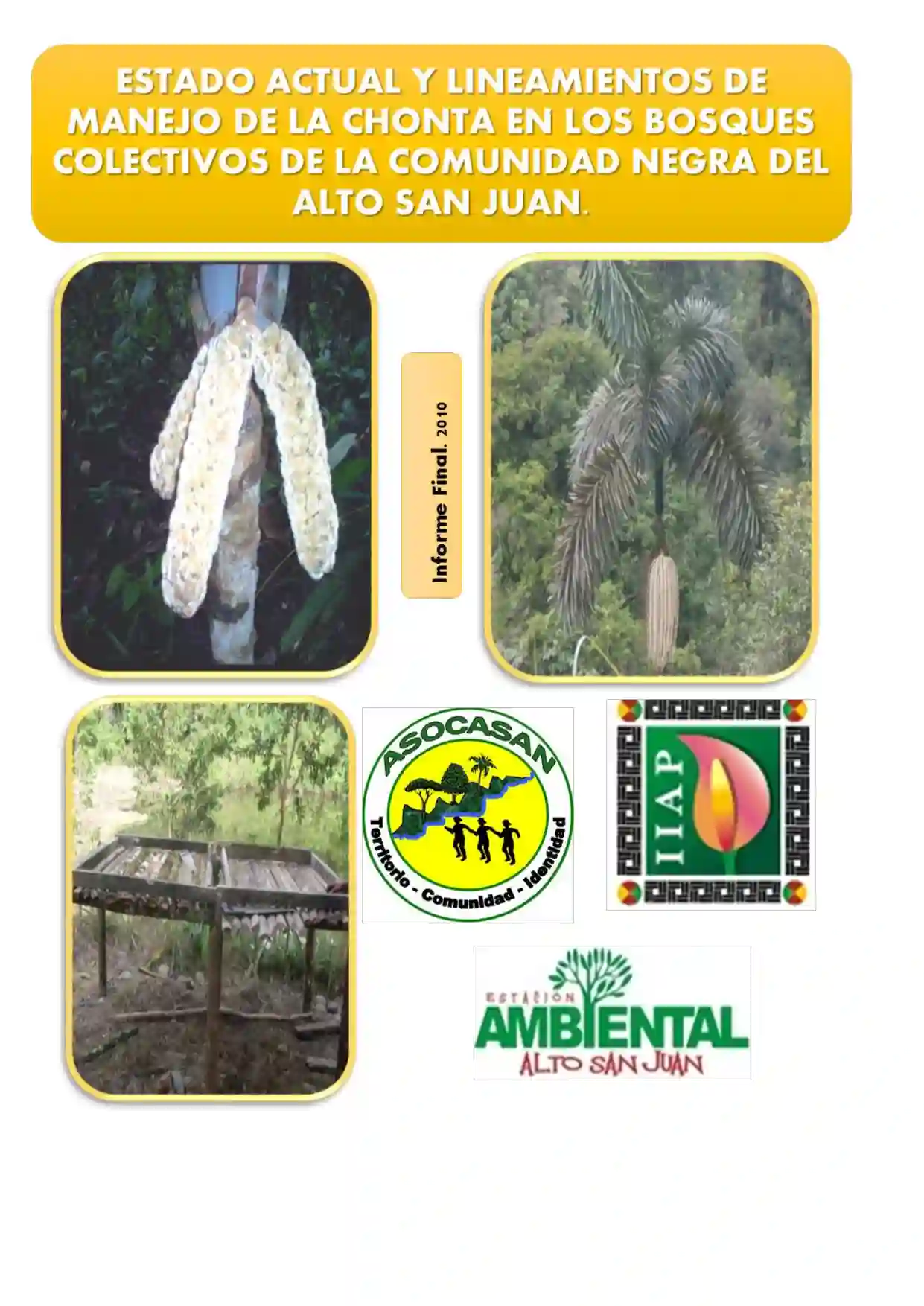 Portada Estado actual de las poblaciones y lineamientos de manejo de la chonta en las zonas de extracción del territorio colectivo de ASOCASAN
