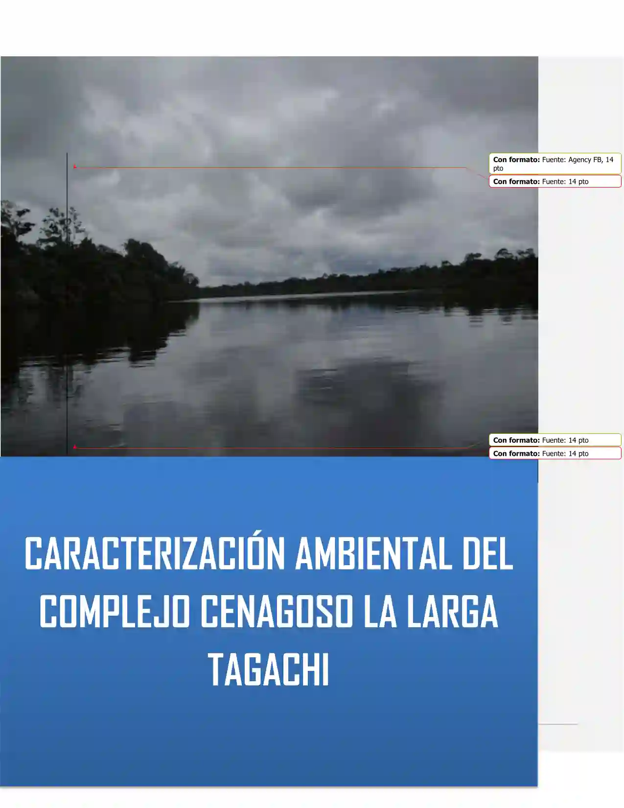 Portada Caracterización ecológica y sociocultural del complejo cenagoso la larga, Tagachi-Chocó