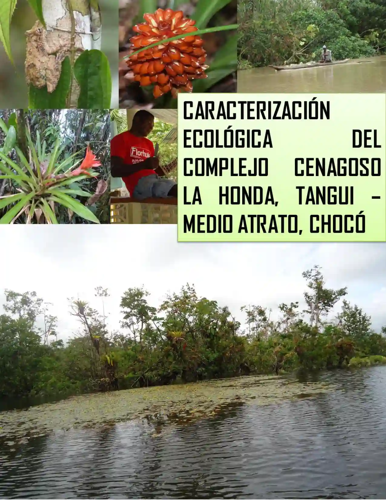 Portada Caracterización ecológica y sociocultural de la ciénaga la Onda, Tangui-Chocó