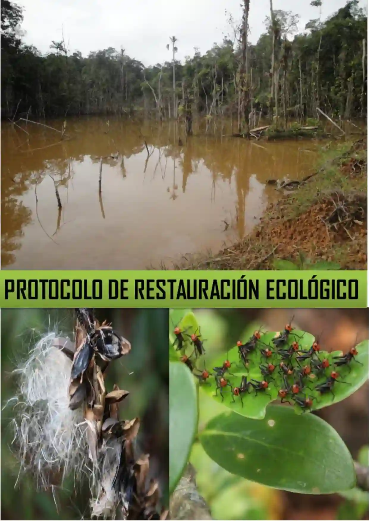 Portada Protocolo de restauración ecológico